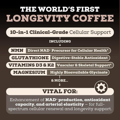 Longevity Mocha Coffee Mix – Support Energy, Focus & Healthy Aging