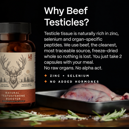 Ancestral Reindeer Organ Complex – Men's Vitality & Daily Wellness Supplement