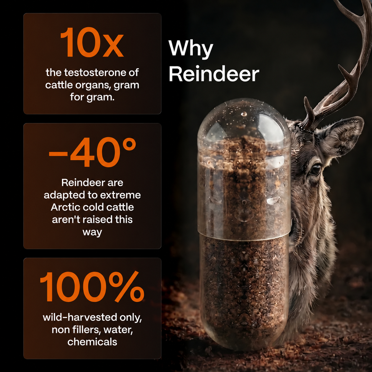 Ancestral Reindeer Organ Complex – Men's Vitality & Daily Wellness Supplement
