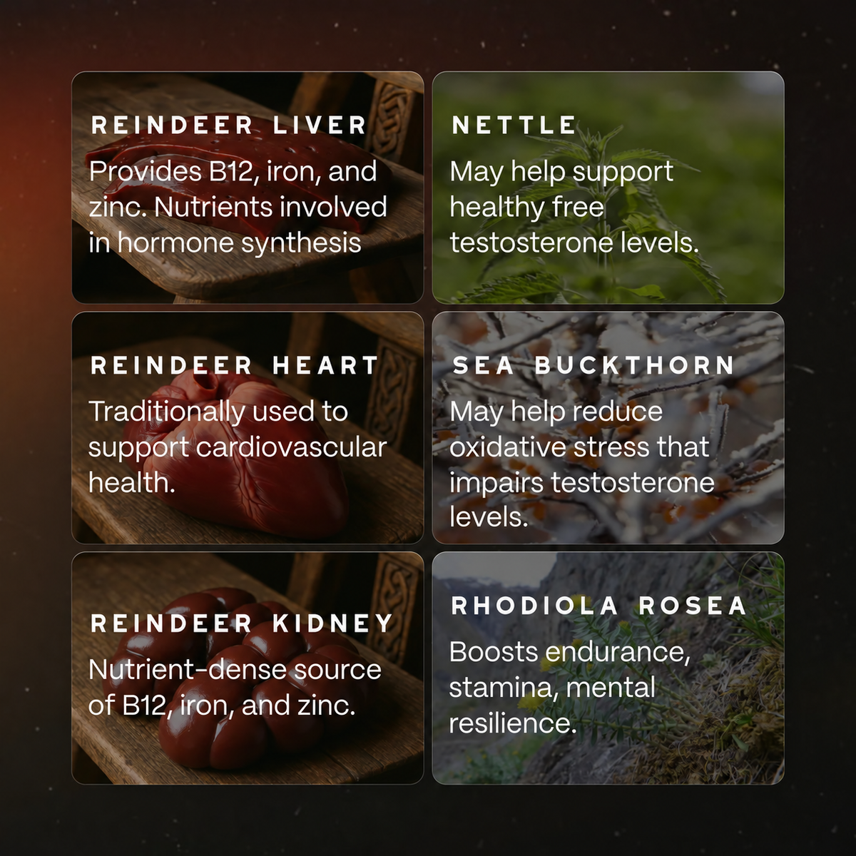 Ancestral Reindeer Organ Complex – Men's Vitality & Daily Wellness Supplement