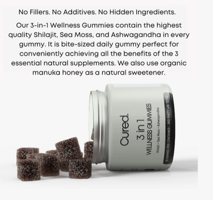 3-in-1 Wellness Gummies