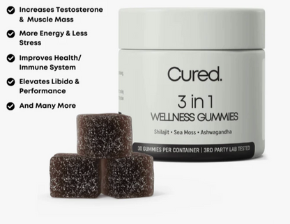 3-in-1 Wellness Gummies